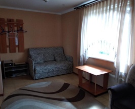 Комната стандарт с 1 двуспальной кроватью и 4 диванами-кровать в Gor.ka
