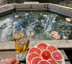 Дом на Холме с Сибирским чаном в ForrestHome