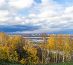 Birds №506 | Студия в Nort на Родионова