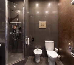 Делюкс в Martin Hotel