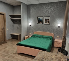 Номер комфорт с 1 двуспальной кроватью в Вереск