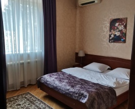 Номер стандарт с 1 двуспальной кроватью в Магнолия