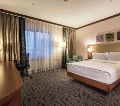 Двухместный люкс c 1 комнатой двуспальная кровать в Hilton Garden Inn Astana