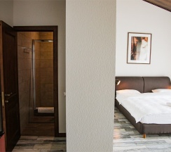 номер стандартный 205 в Панорама