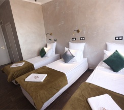 Трехместный Стандарт 210 в М2