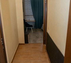 Стандарт 1 в Алексис