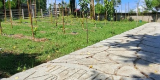 Кобулети: Апарт-отели Апарт-отель Mtrediani Wine Lodge