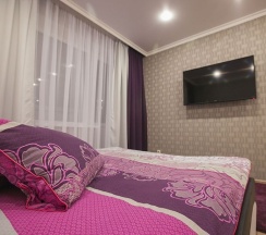 Стандарт СТУДИЯ: Кровать 1,6 *Диван 1,5 *Кухня *Панорамный вид *WiFi в Тихая Гавань Центр
