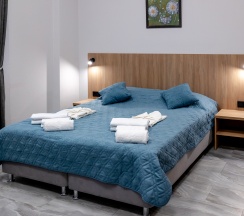 Двухместный стандарт + в Дубос