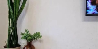 Тверь: Апартаменты Квартира на бульваре Радищева 19