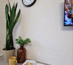 Апартаменты с красивым видом из окна в Квартира на бульваре Радищева 19