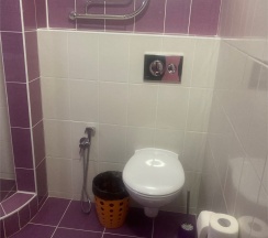 Сингл Делюкс  с балконом и видом на сад и горы в Диса