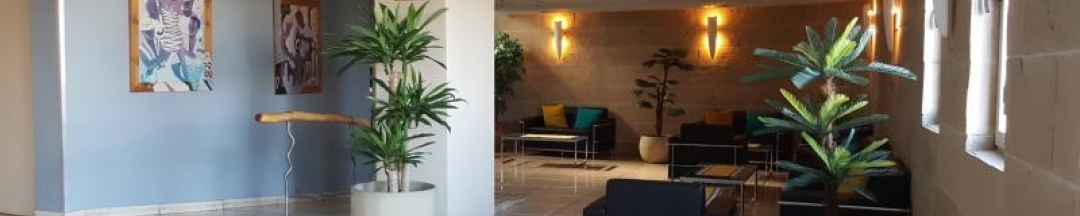 Кровать в общем номере в Motel Aviv