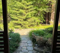 Апартаменты стандарт в Резиденция 888