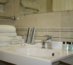 Делюкс (DL) в Гостевая изба на Истре