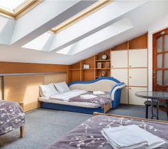 Четырёхместный номер Economy Мансарда в Янка