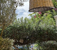 Номер Standard с балконом в Kayezta Hotel Alacati