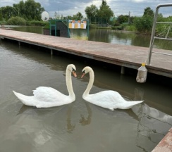 А-фрейм 5 в Family Park