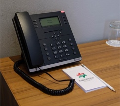 1-местный стандарт в Edelweiss Grozny Hotel