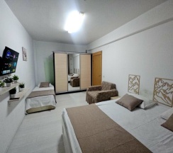 1 спальня + кухня-гостиная  4 этаж (ул. Эстонская, 37) в Альпийская горка VIP