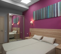 Номер стандарт с 1 двуспальной кроватью в Valeri hotel
