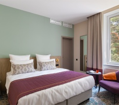 Стандарт с двуспальной кроватью в Berry Hotel&Spa 4*