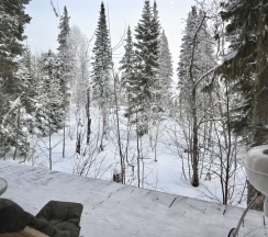 Дом с видом на лес в Svekla project