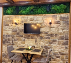 Апартамент-студия с террасой на 1 этаже в Les Apart