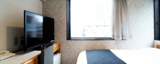 Номер с маленькой двуспальной кроватью в APA Hotel Tokyo Ojima