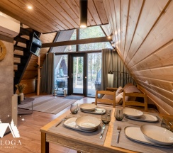 АНДРОМЕДА ( ДО 4 ГОСТЕЙ ) в Berloga Country Resort