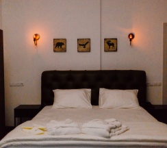 301 Люкс  в Freedom