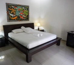 Двухместный номер Superior двуспальная кровать в Ary Guest House