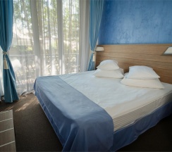 Делюкс в Аристократ