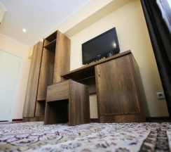 Двухместный номер Standard двуспальная кровать в Altai Business Hotel