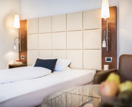 Одноместный номер Standard в Hotel Vorbach