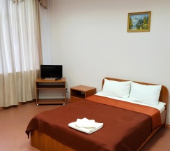 Номер стандарт с 1 двуспальной кроватью в Smart Hotel KDO Курган