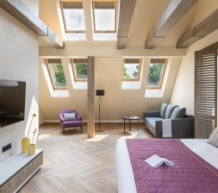 Стандарт Бизнес в Berry Hotel&Spa 4*
