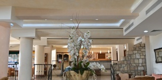 Пафос: Отель Hotel Veronica