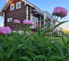 Стандарт в Гостевой дом