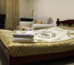 Номер стандарт с 1 двуспальной кроватью в Носовихинский