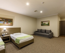 Двухместный номер Junior Deluxe 2 отдельные кровати в RENION PARK HOTEL
