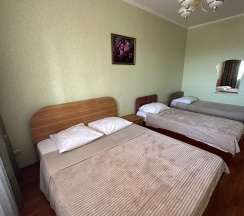 Люкс двухкомнатный с балконом в Николаевский