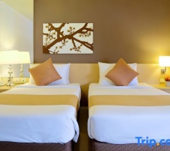 Одноместный номер Deluxe двуспальная кровать в Отель Grand Alpine