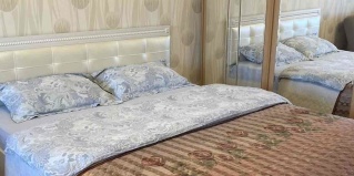 Владивосток: Апартаменты Апартаменты на ул. Проспект 100-летия Владивостоку 100 А