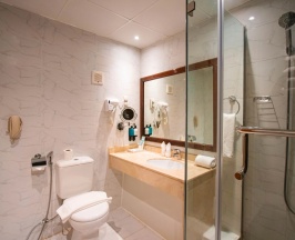 Двухместный номер Premium (двуспальная кровать) в BM Beach Hotel