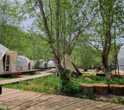 Стандарт в Shambala