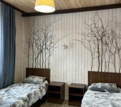 Двухкомнатный стандарт в Пихтовый бор