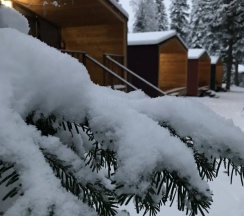 Двухместное шале Classic с красивым видом из окна двуспальная кровать в Forest house resort