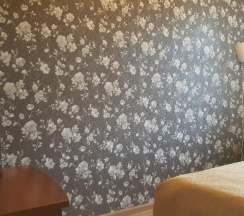 Номер стандарт с 1 двуспальной кроватью в На Пристанской
