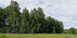 Кинтереп: Гостевой дом Кинтереп